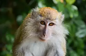 Rekonstrukce Starého Domu Cena